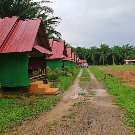 Khao Sok Evergreen House Khao Sok National Park Εξωτερικό φωτογραφία