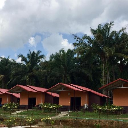 Khao Sok Evergreen House Khao Sok National Park Εξωτερικό φωτογραφία