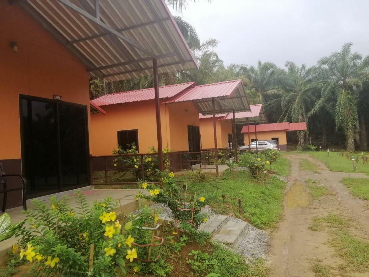 Khao Sok Evergreen House Khao Sok National Park Εξωτερικό φωτογραφία