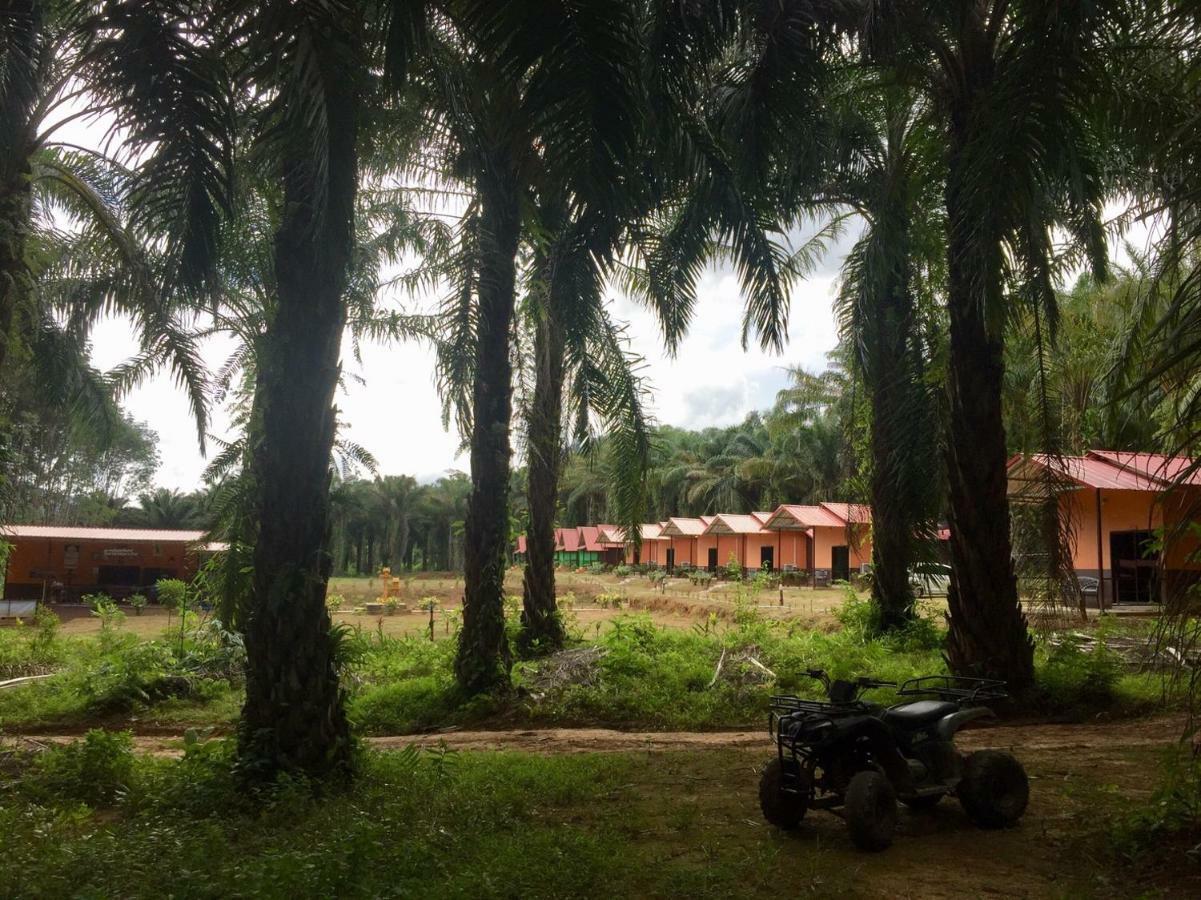Khao Sok Evergreen House Khao Sok National Park Εξωτερικό φωτογραφία