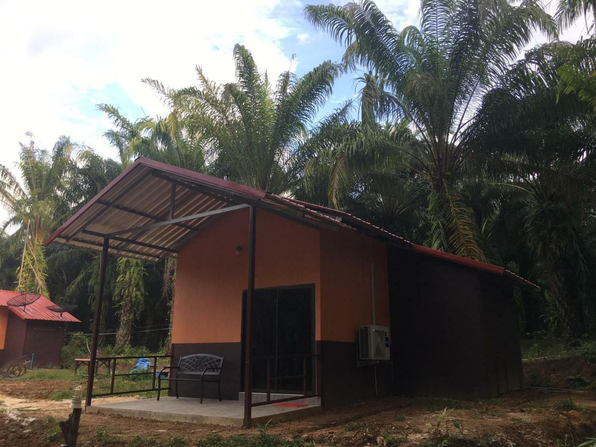 Khao Sok Evergreen House Khao Sok National Park Εξωτερικό φωτογραφία