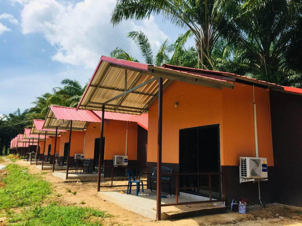 Khao Sok Evergreen House Khao Sok National Park Εξωτερικό φωτογραφία