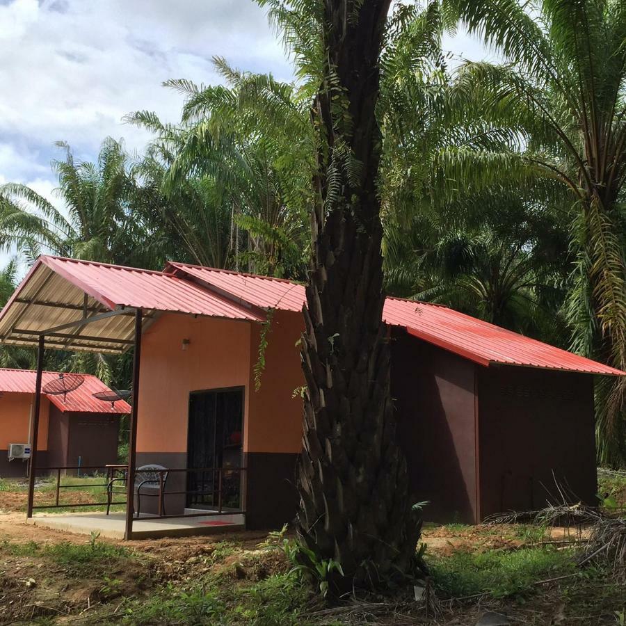 Khao Sok Evergreen House Khao Sok National Park Εξωτερικό φωτογραφία