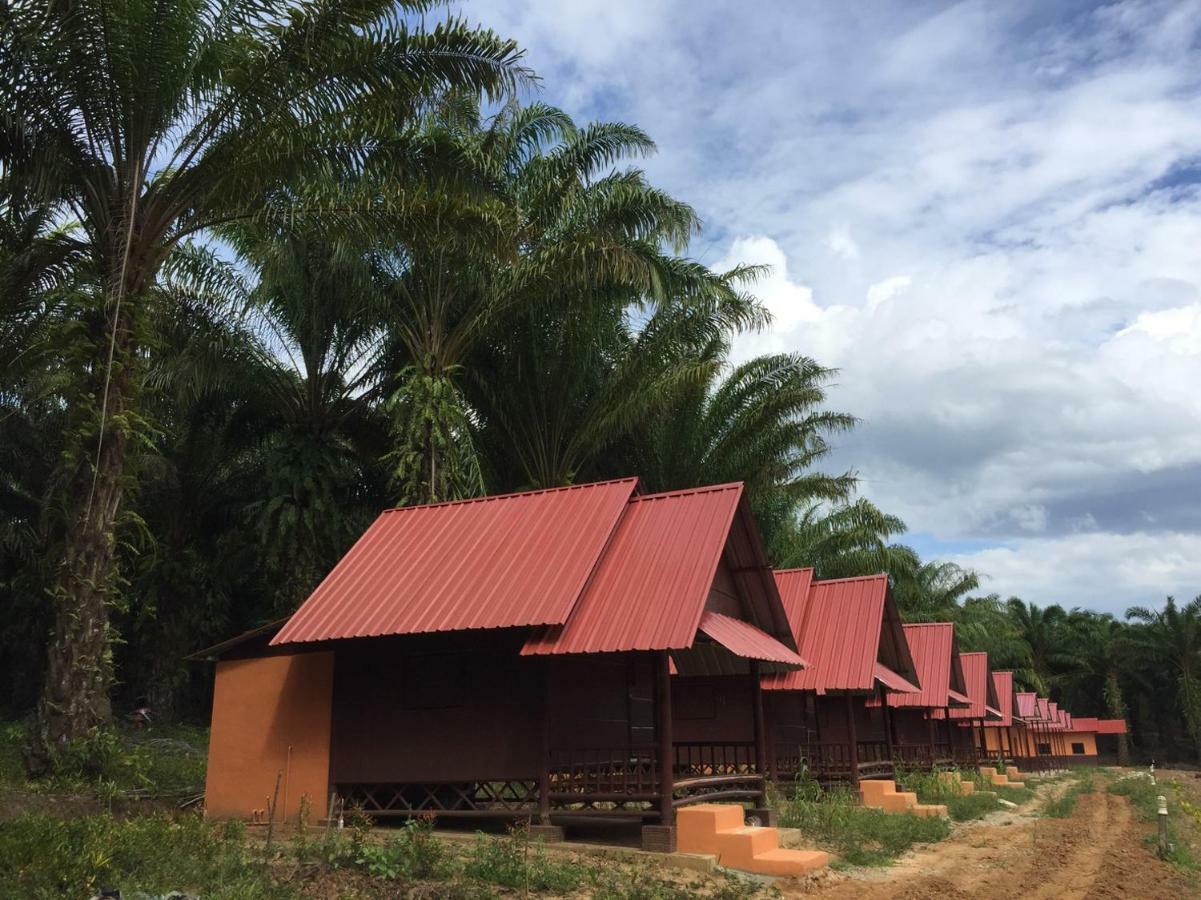Khao Sok Evergreen House Khao Sok National Park Εξωτερικό φωτογραφία
