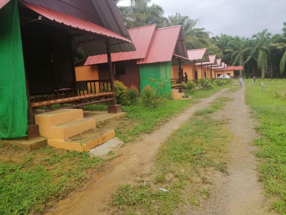 Khao Sok Evergreen House Khao Sok National Park Εξωτερικό φωτογραφία