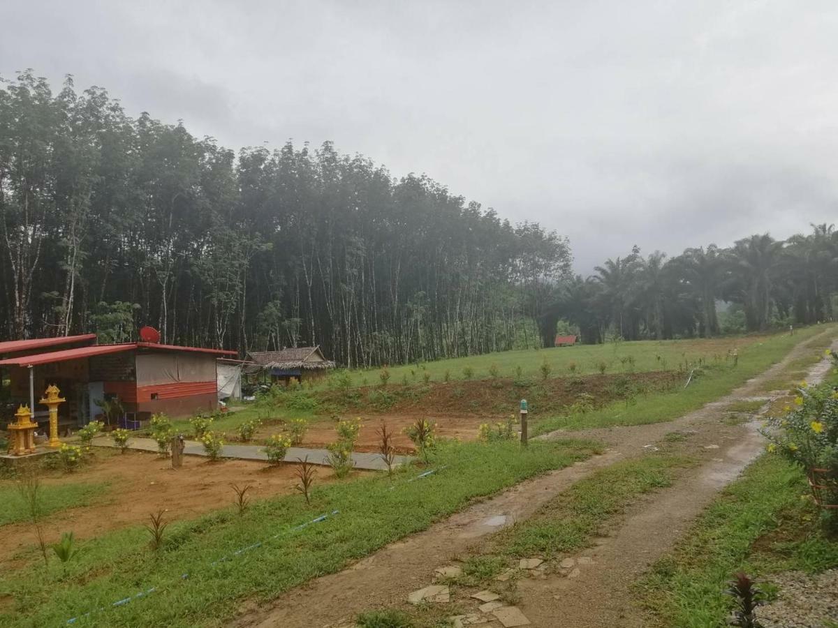 Khao Sok Evergreen House Khao Sok National Park Εξωτερικό φωτογραφία
