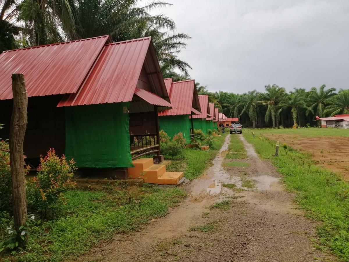 Khao Sok Evergreen House Khao Sok National Park Εξωτερικό φωτογραφία