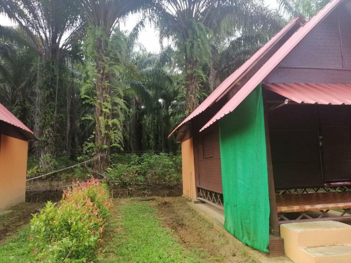 Khao Sok Evergreen House Khao Sok National Park Εξωτερικό φωτογραφία