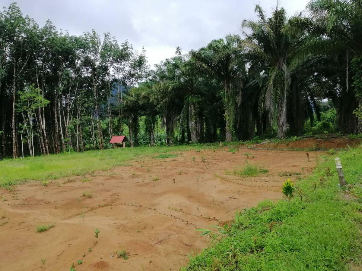 Khao Sok Evergreen House Khao Sok National Park Εξωτερικό φωτογραφία