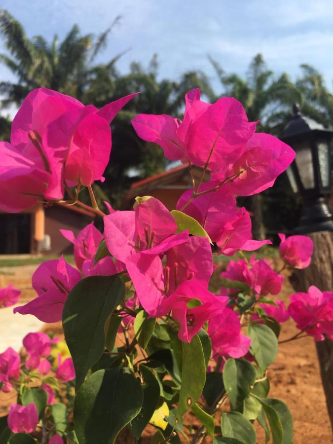 Khao Sok Evergreen House Khao Sok National Park Εξωτερικό φωτογραφία