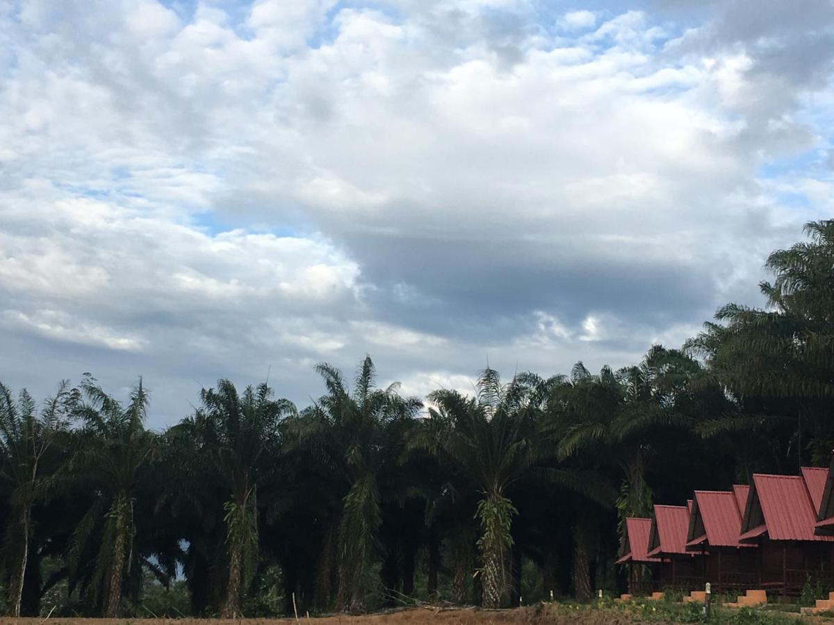 Khao Sok Evergreen House Khao Sok National Park Εξωτερικό φωτογραφία