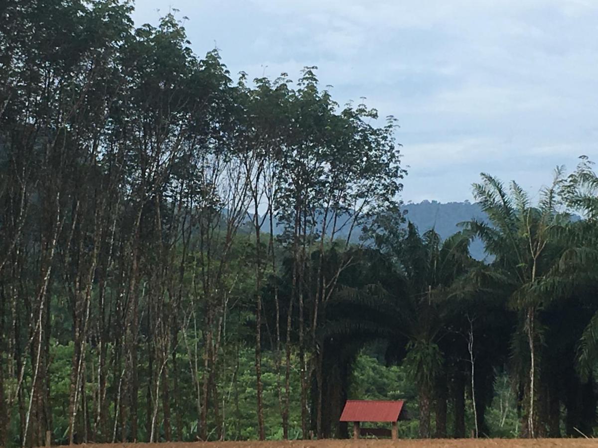 Khao Sok Evergreen House Khao Sok National Park Εξωτερικό φωτογραφία