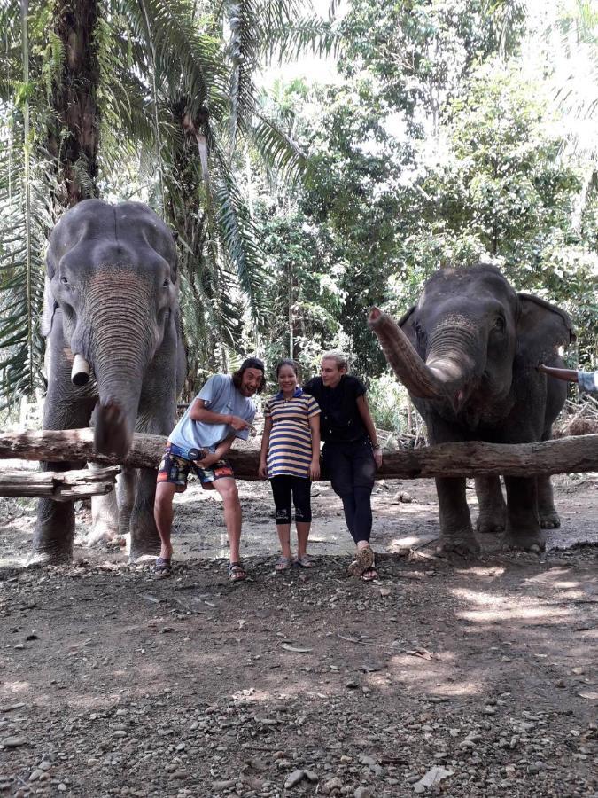Khao Sok Evergreen House Khao Sok National Park Εξωτερικό φωτογραφία