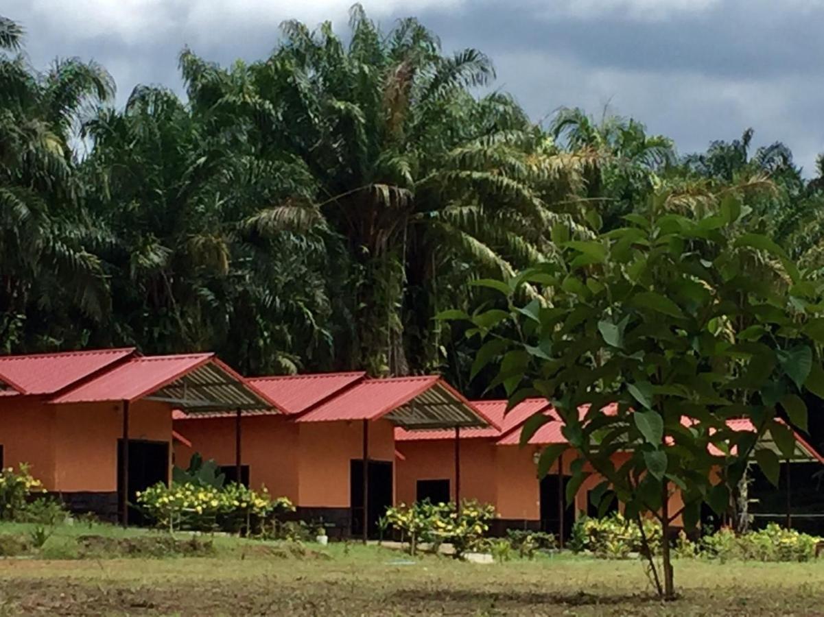 Khao Sok Evergreen House Khao Sok National Park Εξωτερικό φωτογραφία