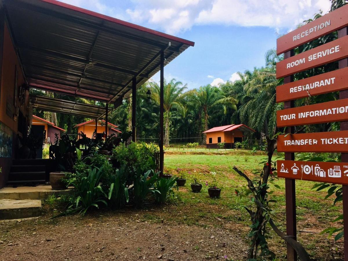 Khao Sok Evergreen House Khao Sok National Park Εξωτερικό φωτογραφία