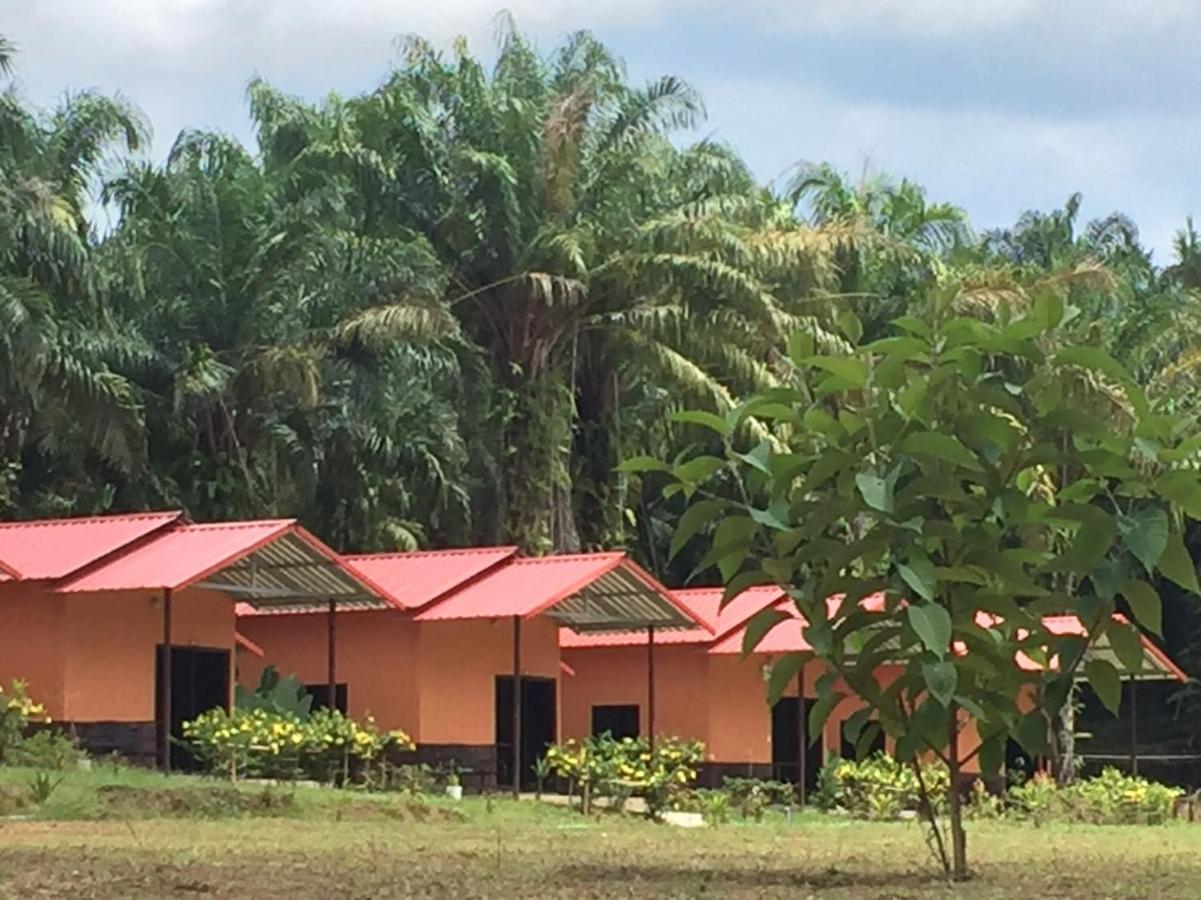 Khao Sok Evergreen House Khao Sok National Park Εξωτερικό φωτογραφία