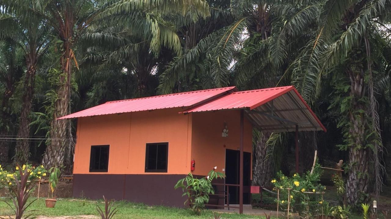 Khao Sok Evergreen House Khao Sok National Park Εξωτερικό φωτογραφία