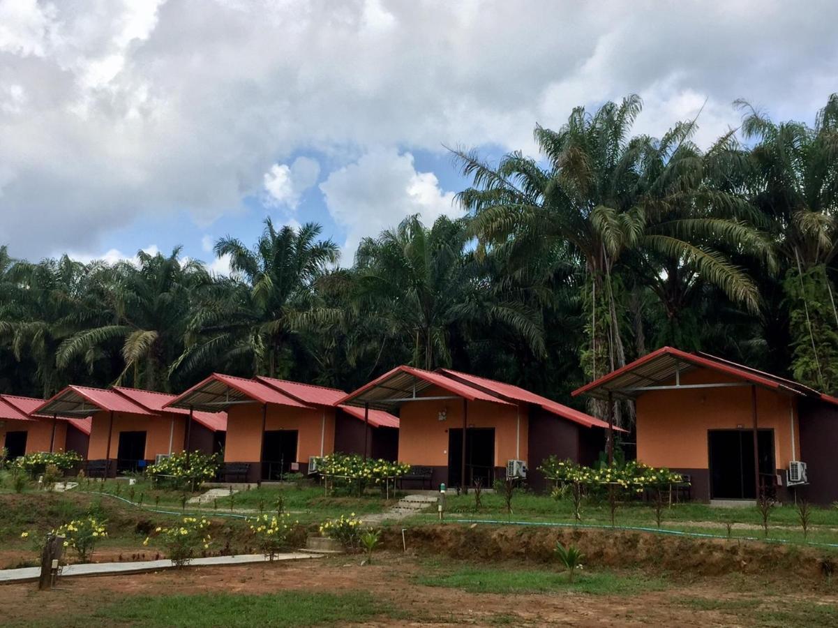 Khao Sok Evergreen House Khao Sok National Park Εξωτερικό φωτογραφία