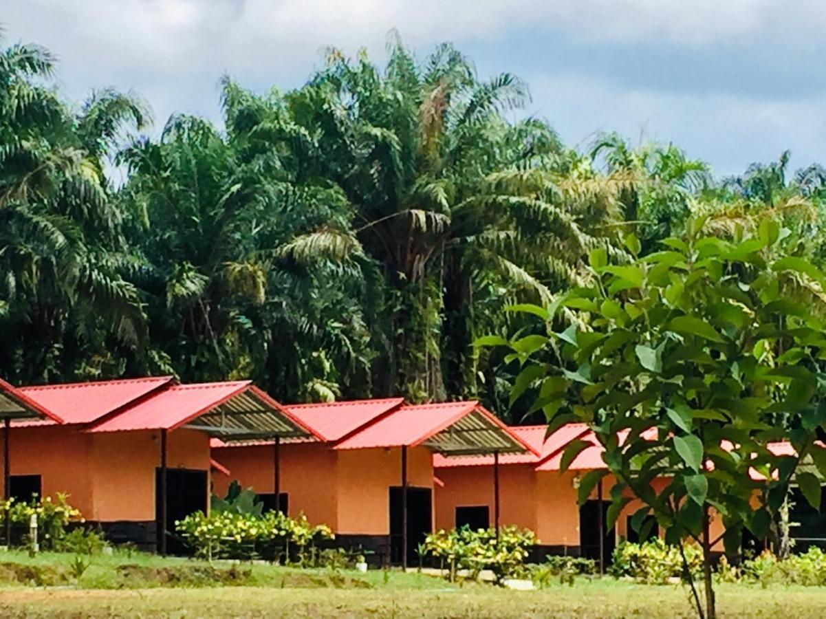 Khao Sok Evergreen House Khao Sok National Park Εξωτερικό φωτογραφία