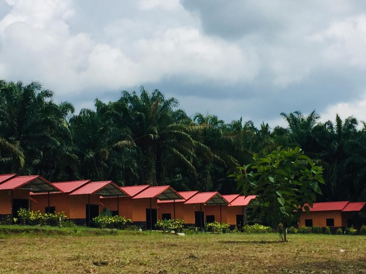 Khao Sok Evergreen House Khao Sok National Park Εξωτερικό φωτογραφία