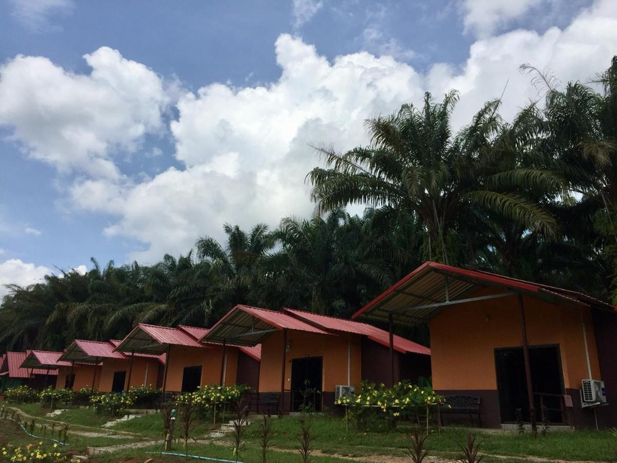 Khao Sok Evergreen House Khao Sok National Park Εξωτερικό φωτογραφία